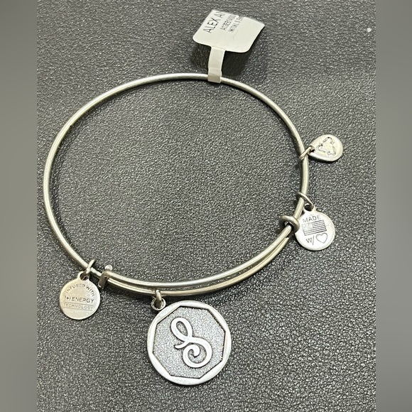 Alex and Ani Silver Charm Bracelet - Picture 1 of 7